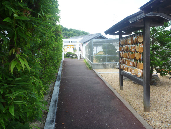 アクセス